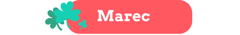 casino marec